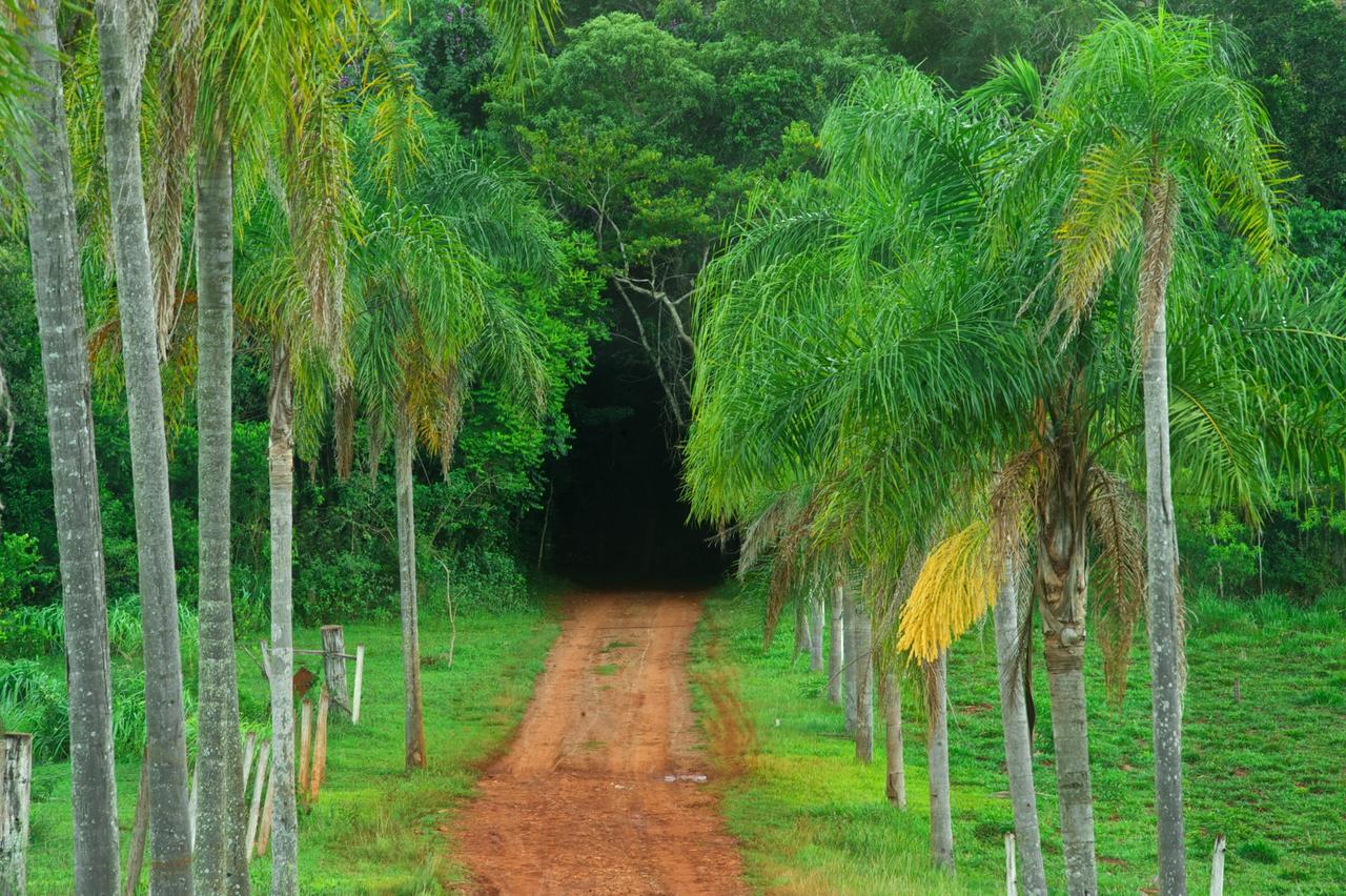Saltos del Moconá La Mision Mocona - Lodge De Selva מראה חיצוני תמונה