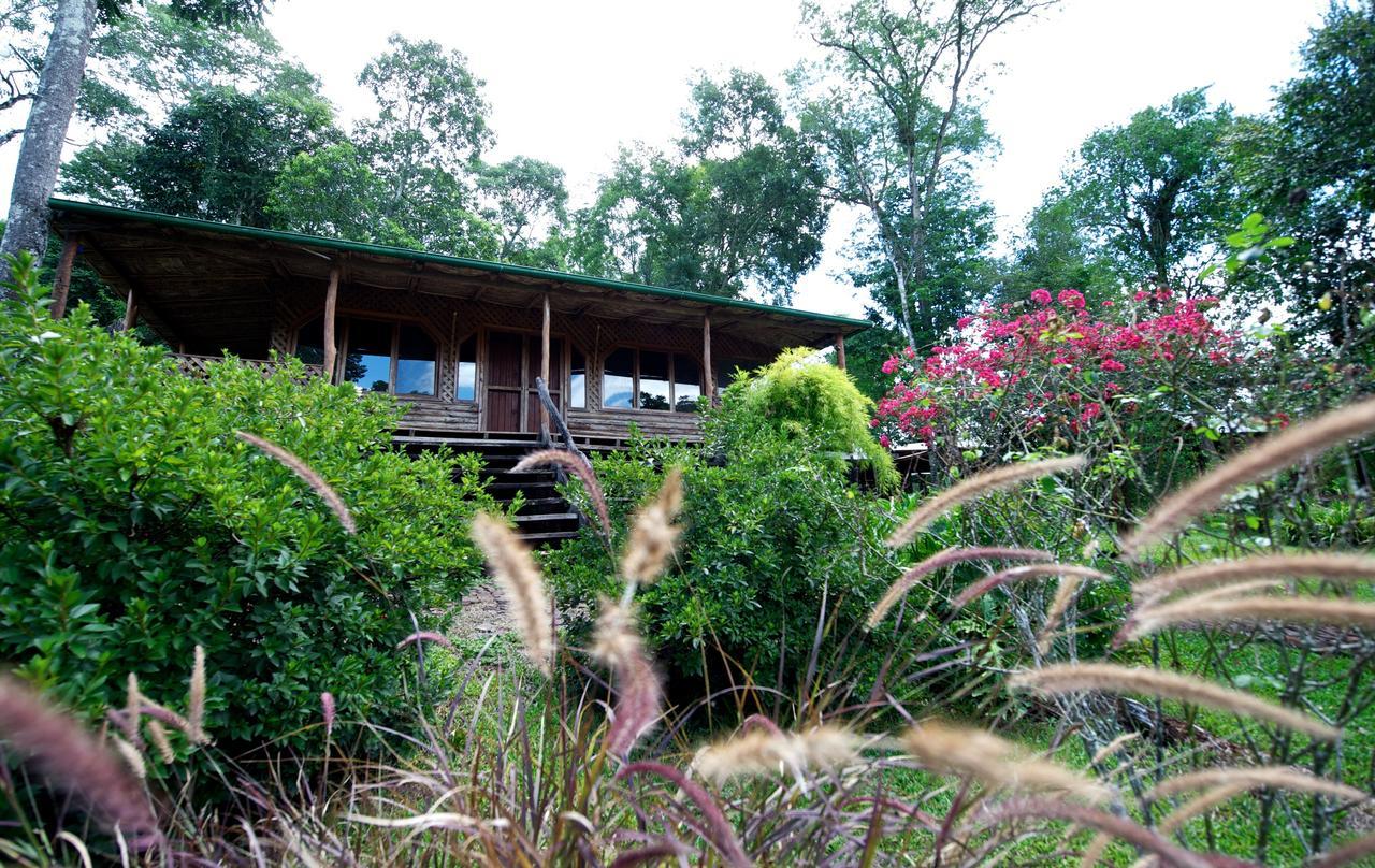 Saltos del Moconá La Mision Mocona - Lodge De Selva חדר תמונה