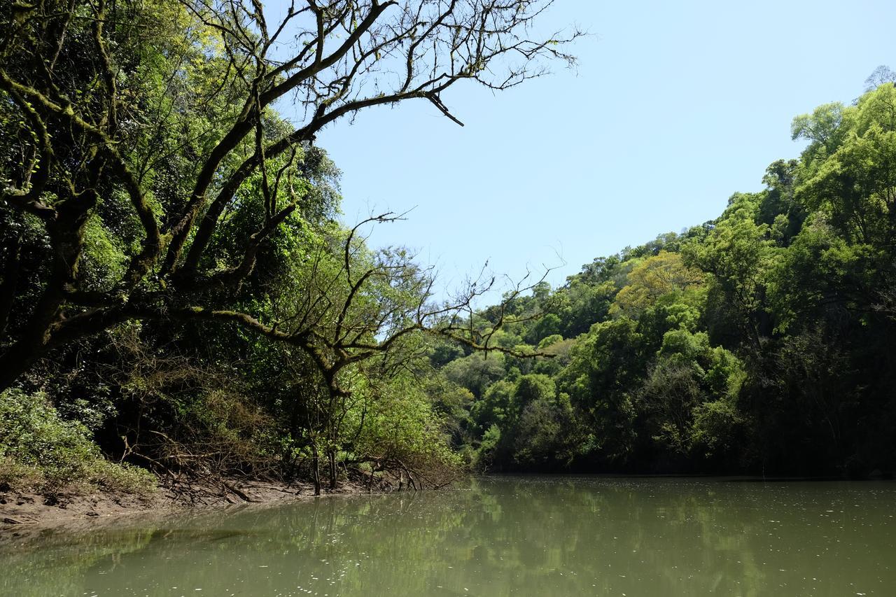 Saltos del Moconá La Mision Mocona - Lodge De Selva מראה חיצוני תמונה