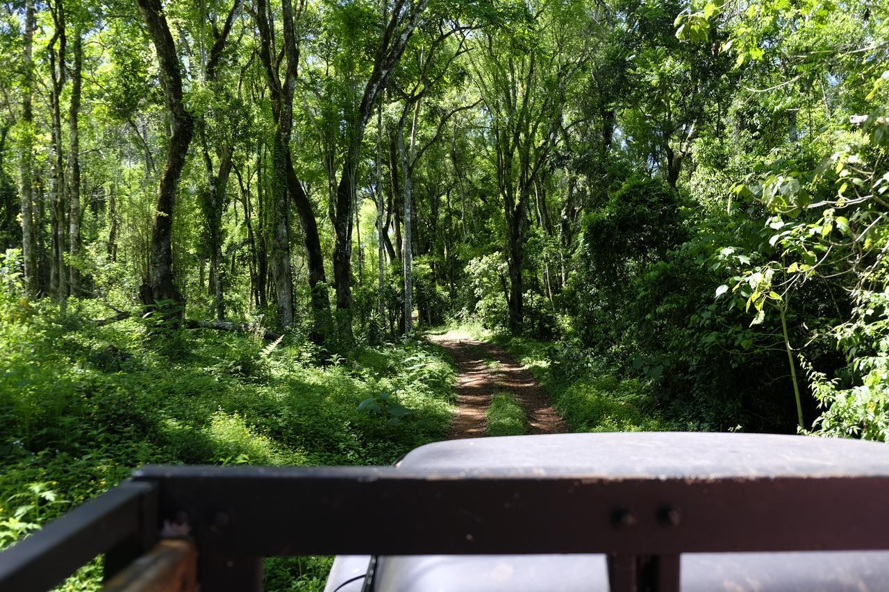 Saltos del Moconá La Mision Mocona - Lodge De Selva מראה חיצוני תמונה
