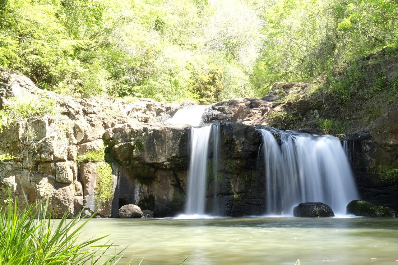 Saltos del Moconá La Mision Mocona - Lodge De Selva מראה חיצוני תמונה