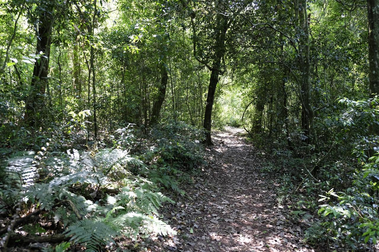 Saltos del Moconá La Mision Mocona - Lodge De Selva מראה חיצוני תמונה